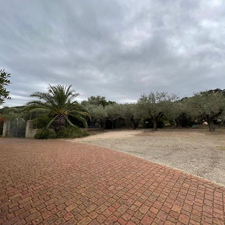 Suite Cucinino, Bagno, Ingresso Indipendente In" Villa Vivi" Siniscola Exteriör bild