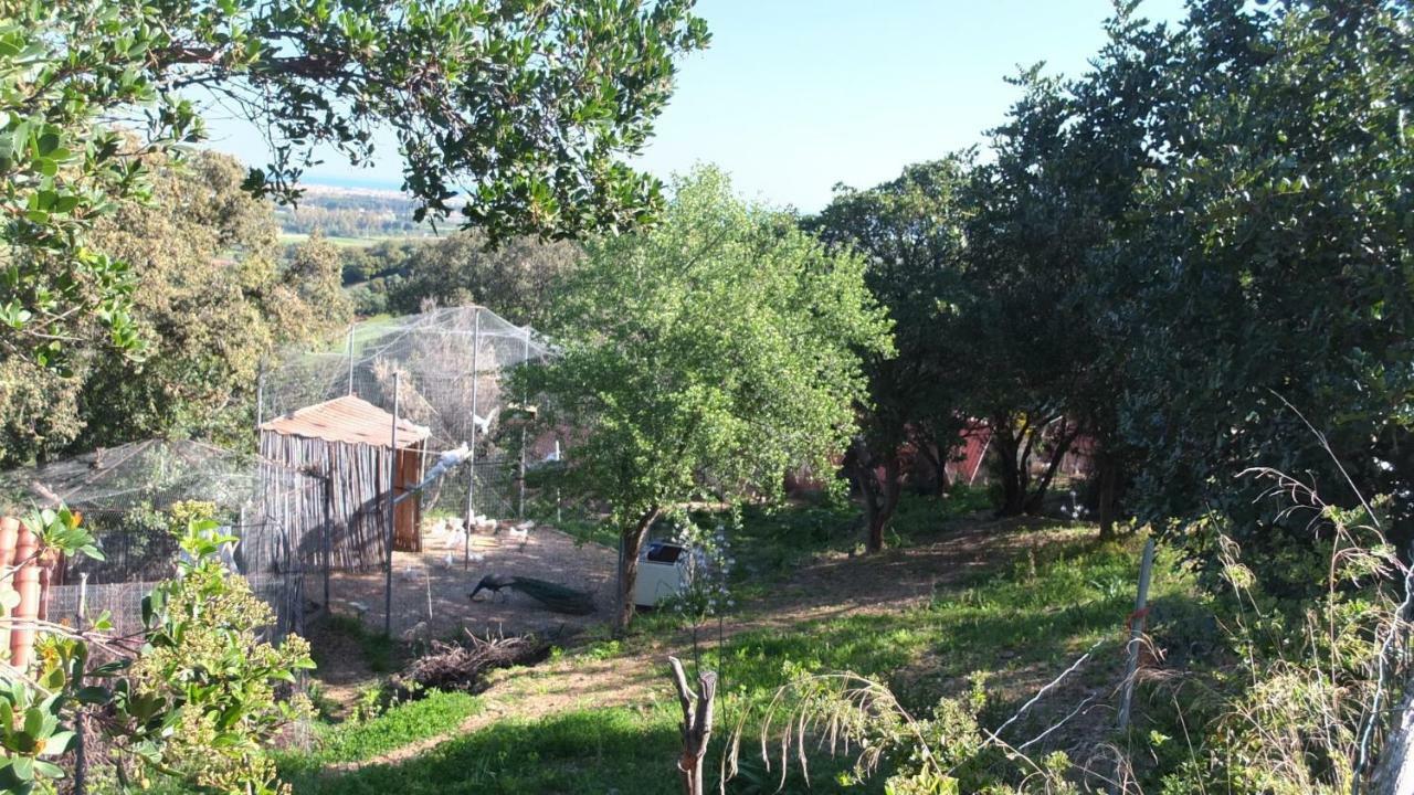 Suite Cucinino, Bagno, Ingresso Indipendente In" Villa Vivi" Siniscola Exteriör bild